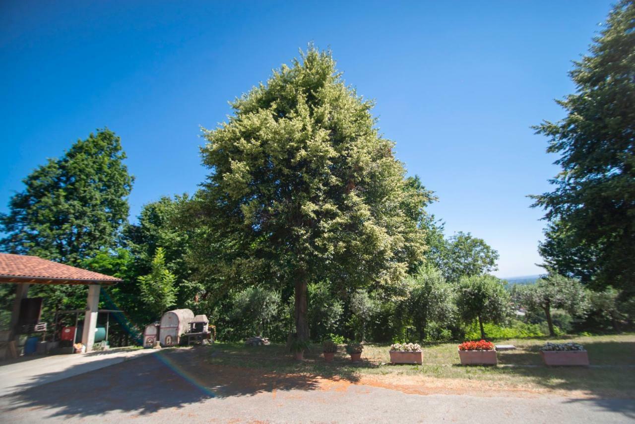 Agriturismo Turina Bricherasio Eksteriør billede